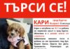 Изчезналата Кари