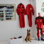 Изложбата на ПСС