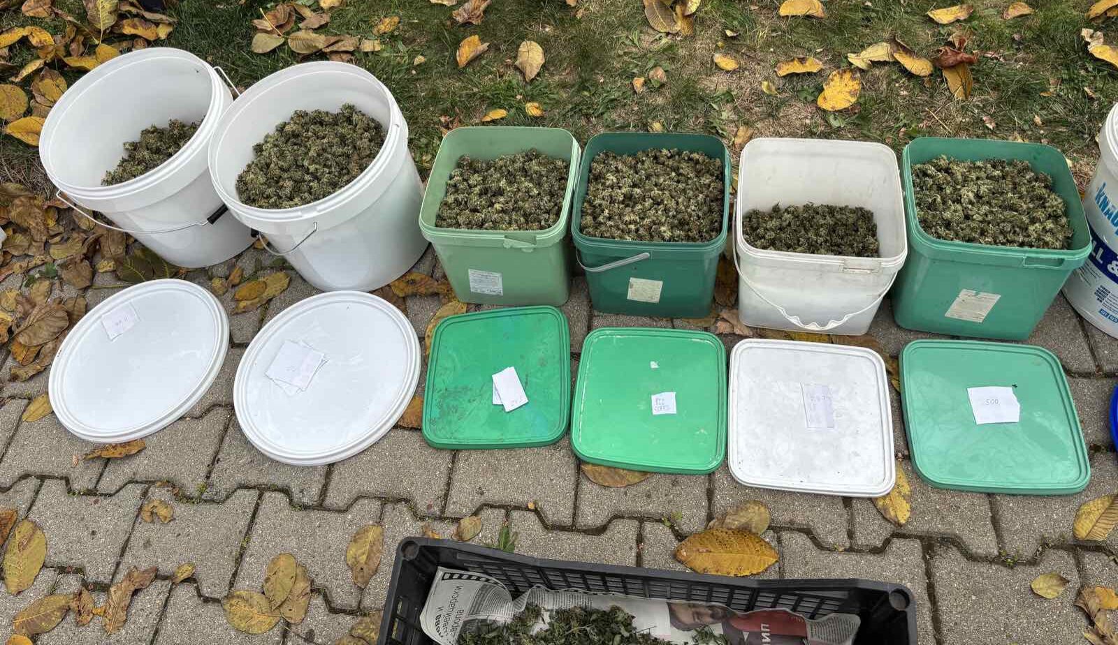 На 31 10 2024г от служители на сектор Противодействие на криминалната престъпност