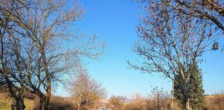 Път Мездра-Боденец