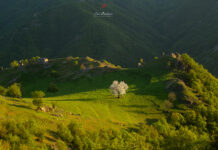 Природа. Снимка: Илиан Божанов