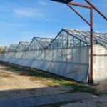 Наркооранжерията