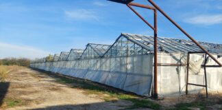 Наркооранжерията