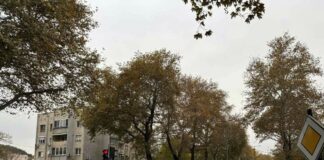 Обновяване на светофар в Асеновград