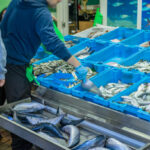 Рибна борса, риба