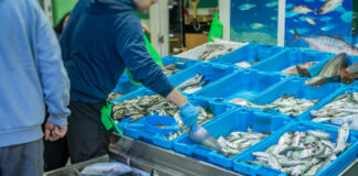 Рибна борса, риба