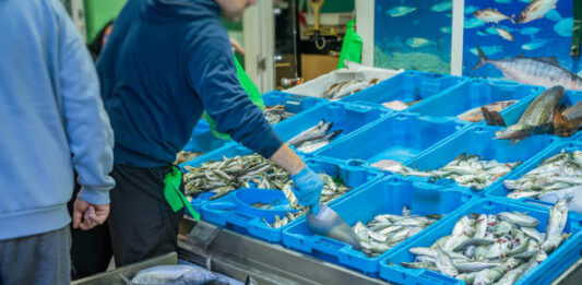 Рибна борса, риба