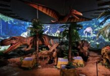 Седмица на динозаврите