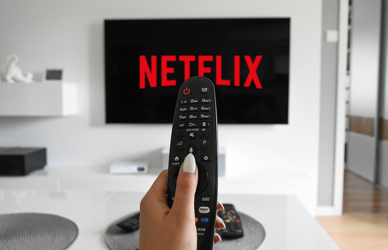Сериал по Netflix Снимка Pixabay
От днес сезон 2 на анимационния