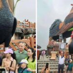 Сградата на пиле и семейството на Рикардо Кано Гвапо Тан