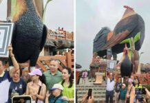 Сградата на пиле и семейството на Рикардо Кано Гвапо Тан