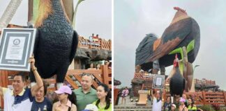 Сградата на пиле и семейството на Рикардо Кано Гвапо Тан