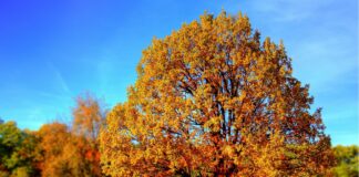 Слънчево време през есента