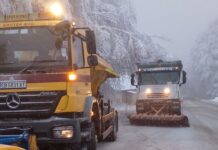 Снегорини, сняг, път