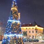 Елхата във Враца