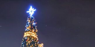 Елхата във Враца