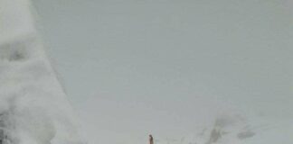 Д-р Николай Иванов