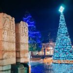 Елхата в Лом