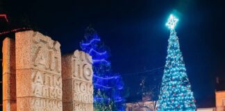 Елхата в Лом