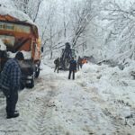 Горски служители разчистват