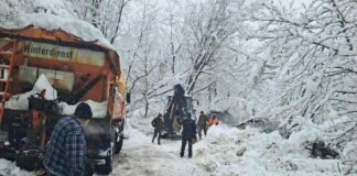 Горски служители разчистват