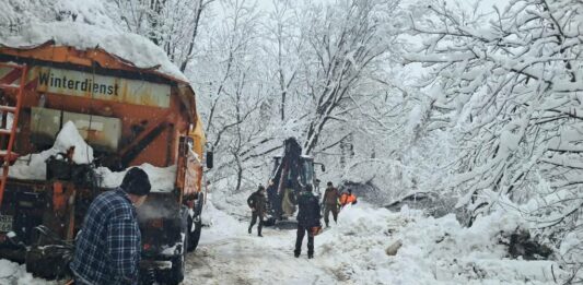 Горски служители разчистват