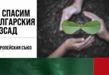 Кампанията