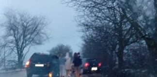 Катастрофа в Плевенско