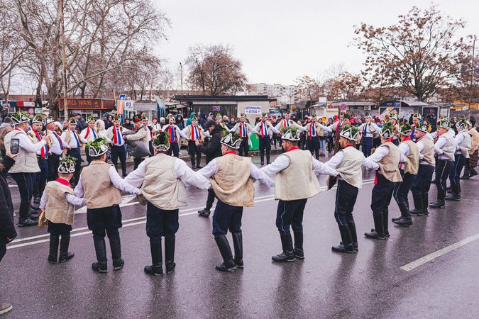 Коледен буенек