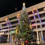 Коледната елха