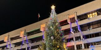 Коледната елха