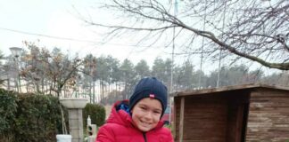 Осиновени кученца