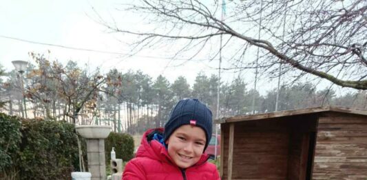 Осиновени кученца