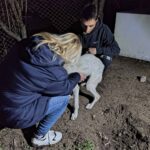 Кучето на Ники от Конаре