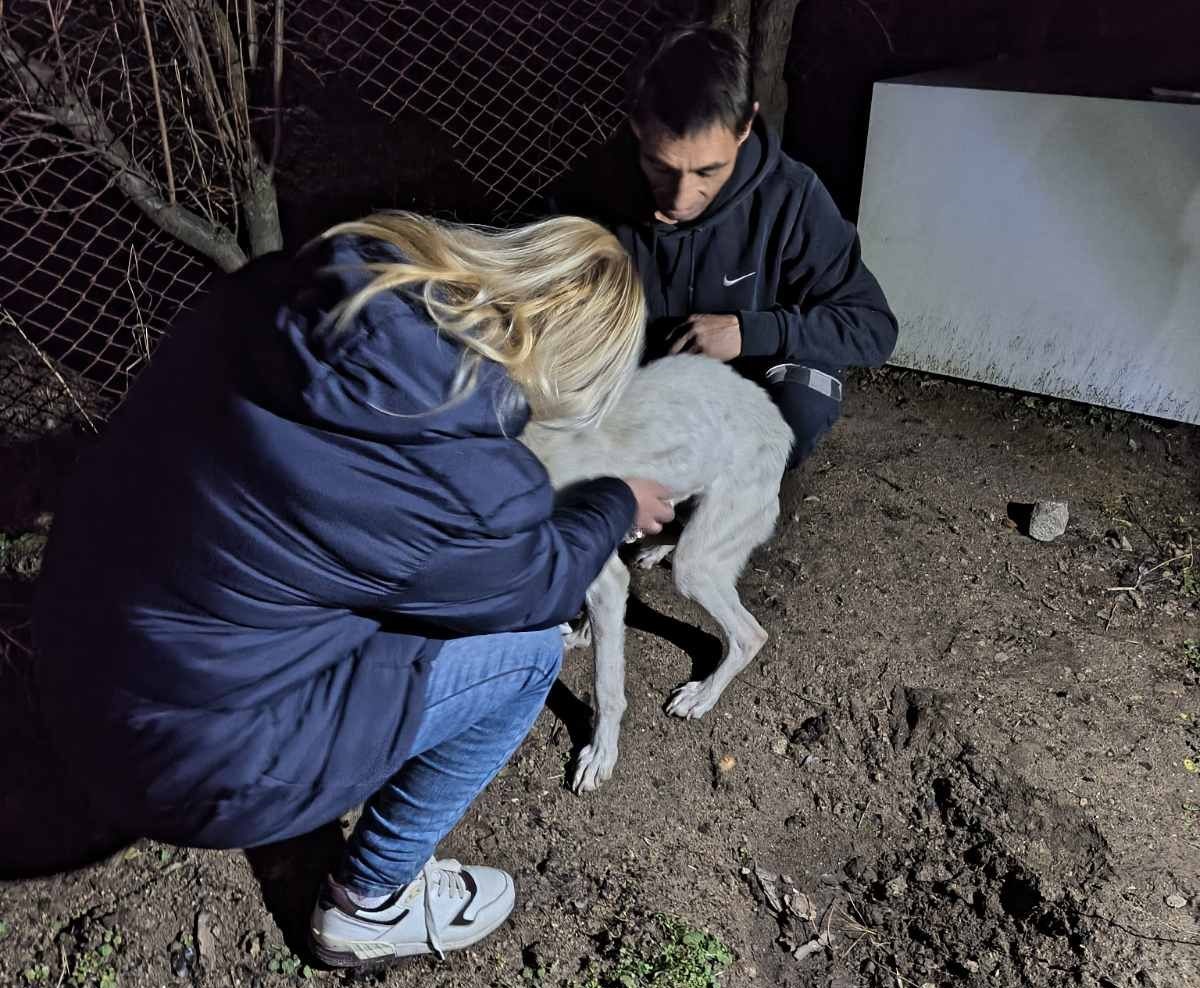 Семейството на 13 годишния Николай от Конаре не се е отказало