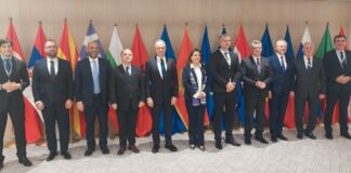 Съвет на културата от Югоизточна Европа