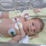 Малката София