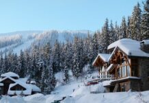 БАБХ с проверки по зимните курорти