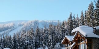 БАБХ с проверки по зимните курорти