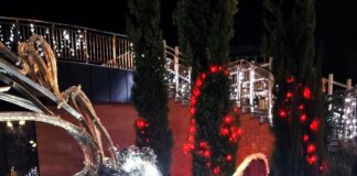 Шейната на Дядо Коледа