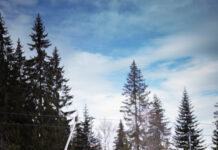 Ски зона Пампорово