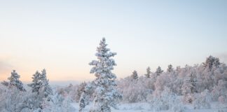 Слънчево, снежно време
