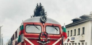 Теснолинейката