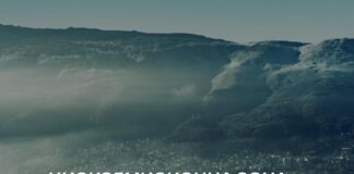 Важно от Столична община