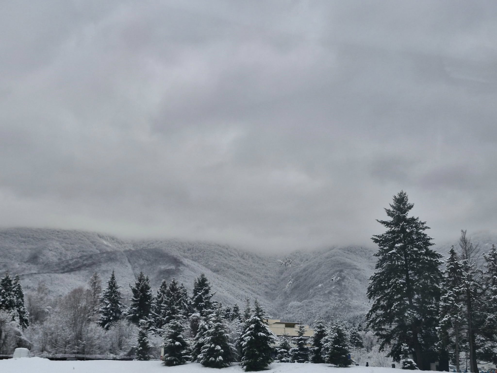 Случаен инцидент във доведе до спешна реакция на Планинската спасителна