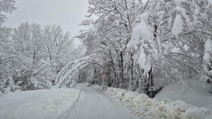 Зимата в Троянско