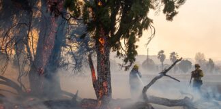 пожар в Лос Анджелис,Хюз