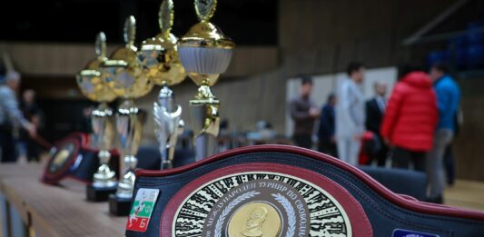 Шампионски пояс и награди по борба