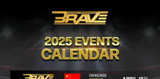 BRAVE 2025