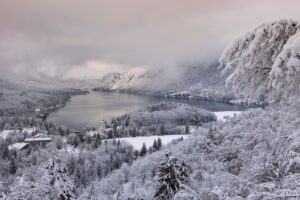 Езерото Бохин, Словения